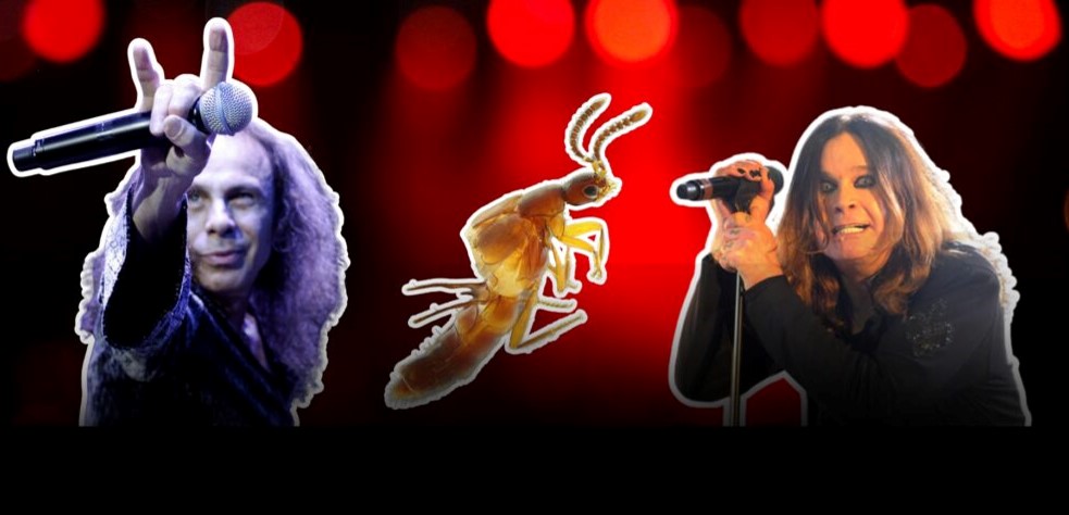 Ozzy e Dio são homenageados por cientistas brasileiros