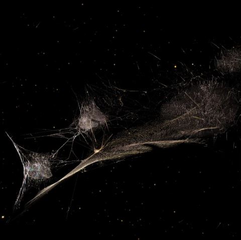 Arte single do Peter Gabriel